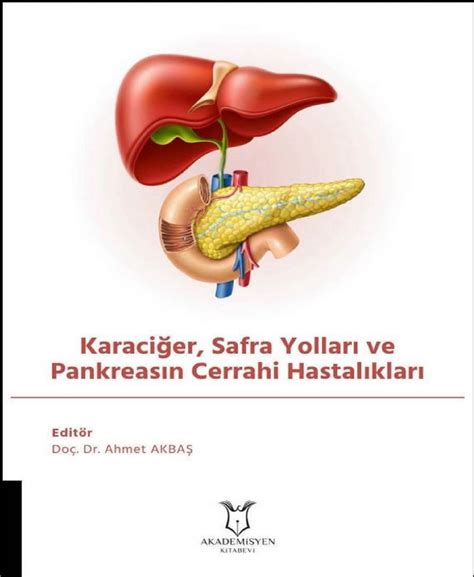 Karaciğer Sağlığını Koruma Yolları